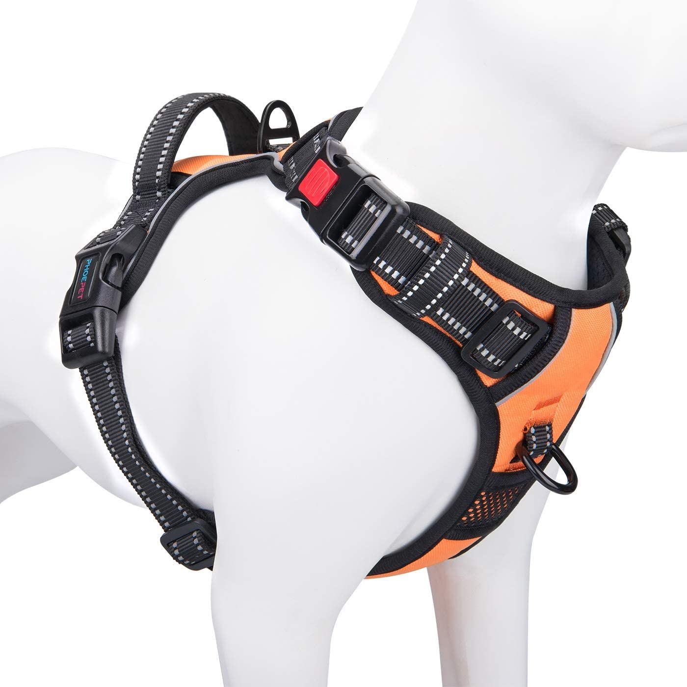 BW-PB-006