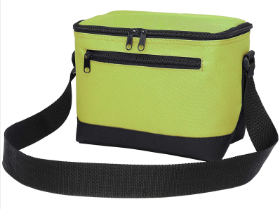 Insulated Reusable Lunch Cooler Bag