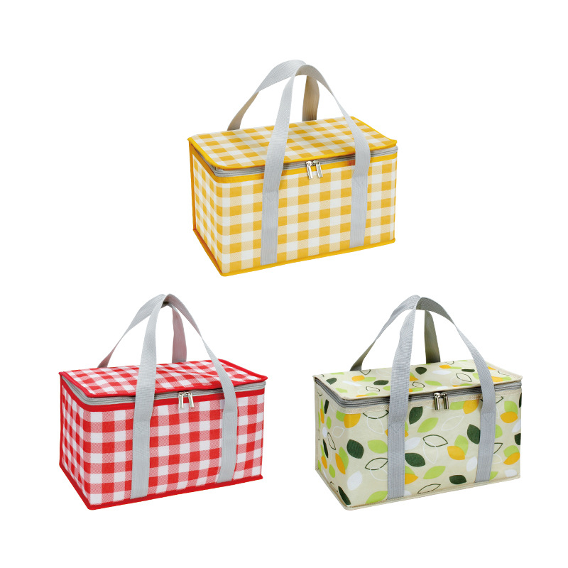Insulated Picnic Bag